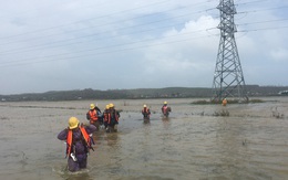 Tổng công ty Truyền tải điện Quốc gia khắc phục sự cố lưới điện 110kV sau bão số 9 tại Quảng Ngãi