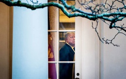 Ông Trump hé lộ kế hoạch nhận thua, tái tranh cử