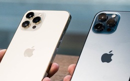 Giá iPhone 12 Pro Max chênh lệch 6 triệu đồng trong ngày đầu về VN