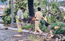 Ảnh: Lực lượng chức năng gấp rút khắc phục hậu quả bão số 13 tại Thừa Thiên - Huế