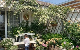 Vì yêu hoa, bà mẹ trẻ mua ngay căn hộ áp mái để trồng cả vườn hồng trên sân thượng rộng 33m²
