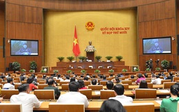 Chiều nay trình Quốc hội bãi nhiệm ĐBQH đối với ông Phạm Phú Quốc