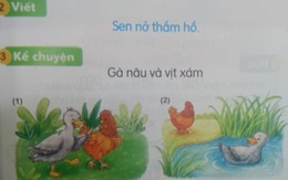 Thêm sách giáo khoa tiếng Việt lớp 1 bị “chê” một số ngữ liệu “có vấn đề”