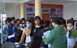 Ninh Bình: Gần 8.000 cơ hội việc làm cho người lao động