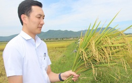 9X bỏ việc an nhàn về quê chế biến gạo, thu trăm tỷ đồng mỗi năm