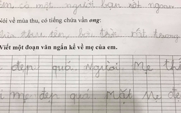 Con trai học lớp 1 viết đoạn văn ngắn tả mẹ mà ai nấy cười sặc sụa bình phẩm: 'Mới tí tuổi đầu đã dẻo miệng nịnh nọt'