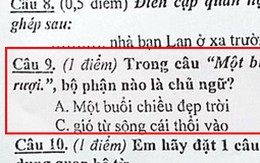 Đề bài Tiếng Việt tìm chủ ngữ trong câu, lắt léo đến mức cư dân mạng tranh cãi kịch liệt