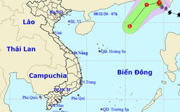 Bão số 11 có thể tan trên biển