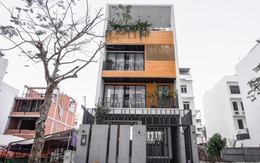 Căn nhà phố tạo ấn tượng mạnh mẽ với vẻ đẹp sang trọng từ màu của gỗ ở quận 7, Sài Gòn
