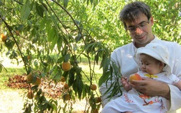 Trang trại trăm loại cây trái trĩu trịt quả của cặp vợ chồng Pháp - Việt