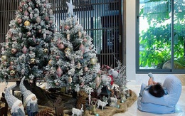 Hình ảnh cô nhóc nhà Cường Đô La nằm thảnh thơi trước cây thông Noel cực đáng yêu