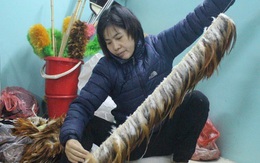 Ngôi làng 'độc nhất vô nhị' ở Thủ đô làm giàu từ… lông gà