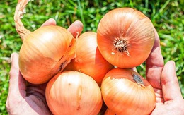 Bảy điều xảy ra với cơ thể khi bạn ăn hành thường xuyên