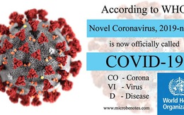 Virus corona nCoV có tên mới là Covid-19