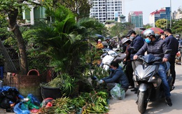 Độc đáo phiên chợ hoa, cây cảnh năm ngày họp một lần tại Hà Nội