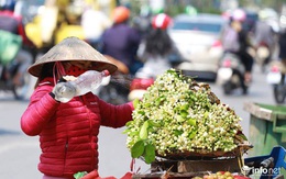Hoa bưởi đầu mùa xuống phố, thơm nồng nàn khắp phố phường Hà Nội