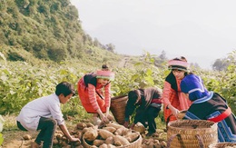 CEO Công ty Long Hải – Nguyễn Văn Thành: Bốn “nhà” bắt tay, người tiêu dùng mới có sản phẩm sạch