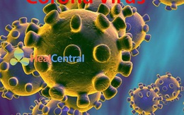 Điều kiện thời tiết lý tưởng nào giúp virus corona nCoV sinh sôi phát triển?