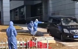 Vợ giám đốc Vũ Hán chạy theo xe chở thi thể chồng