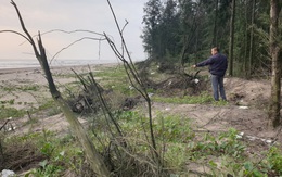 Huyện Nghi Xuân, Hà Tĩnh: Thường trực nguy cơ biển “nuốt” mất làng