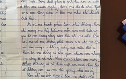 Sự thật về lá thư của học sinh lớp 5 đang gây bão mạng 'Con mong mẹ hiểu, mẹ còn đứa con gái đang sống cùng bà nội'