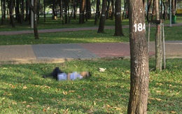 Người đàn ông tử vong trong công viên ở TP.HCM