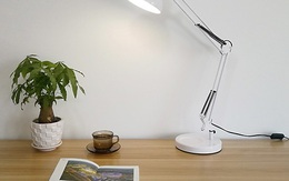 Nếu cần phải làm việc tại nhà thì hãy sắm ngay 6 vật dụng này để giúp bạn thoải mái nhất