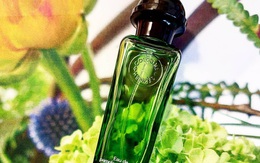 Top 5 chai nước hoa ngát hương cam chanh đáng sắm nhất mùa hè