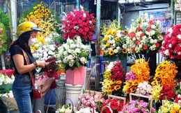 Hoa rớt giá thê thảm cận ngày 8/3 vẫn không ai mua