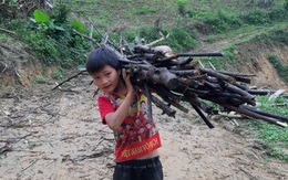 VIDEO: Hé lộ cuộc sống mới của cậu bé 10 tuổi sống một mình "trong rừng" ở Tuyên Quang
