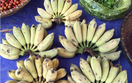 Vài nghìn đồng/kg chuối trên chợ mạng, người tiêu dùng thi nhau đặt mua số lượng lớn