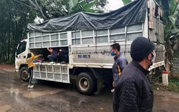 15 người trốn trong xe tải vượt chốt kiểm soát phòng chống dịch COVID-19