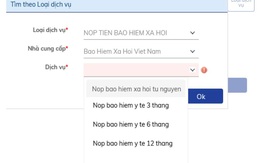 BHXH Việt Nam và Ngân hàng BIDV phối hợp triển khai dịch vụ nộp tiền trực tuyến