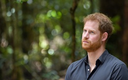 Harry lần đầu thừa nhận cuộc sống hoàn toàn bị đảo lộn sau khi rời hoàng gia nhưng không trách Meghan Markle