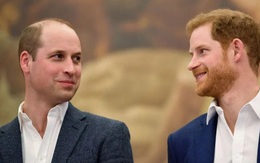 Hoàng tử Harry liên lạc với William khi ở Mỹ