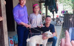Cụ bà H'Mông khóc thương khi phải bán chó, thanh niên vượt 140km tặng lại bà
