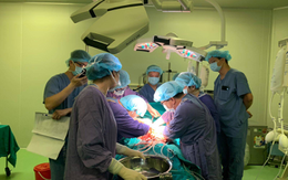 Lá gan của người phụ nữ Hà Nội hồi sinh bệnh nhân tại TP.HCM