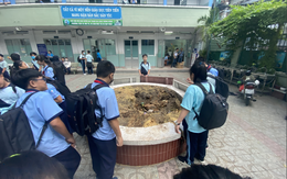 Hiệu trưởng THCS Bạch Đằng quyết định cho học sinh đi học ngay sau sự cố cây phượng đổ: Phụ huynh lo lắng nhưng tin vào trường