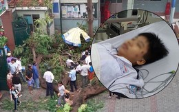 Thông tin về sức khỏe của các em học sinh phải cấp cứu vì cây đổ trong sân trường