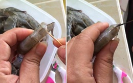 Không cần bóc vỏ, chỉ đen trên lưng tôm được lấy ra một cách cực dễ chỉ bằng 1 que tăm nhỏ