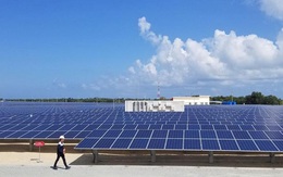 Thủ tướng ra chỉ đạo sau phản ánh của báo chí về cụm dự án điện mặt trời Lộc Ninh