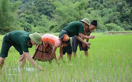 Người Đan Lai bỏ được những hủ tục từng gây “đứng tim” bất kỳ ai