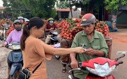 Ra khỏi 'trại' cách ly, 45 thương lái Trung Quốc gom ngàn tấn vải thiều