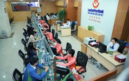 Dẫn đầu các ngân hàng thương mại cổ phần về mạng lưới giao dịch, LienVietPostBank hướng tới mục tiêu trở thành Ngân hàng bán lẻ hàng đầu Việt Nam