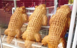 Bánh mì cá sấu siêu to khổng lồ chỉ có ở Việt Nam, dân mạng đặt mua ngày trăm chiếc vì độc, lạ