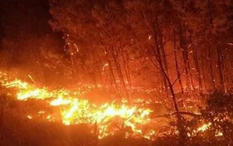 Nghệ An: Rừng thông cháy dữ dội lan sang nhiều xã