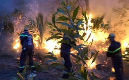Nghệ An: Chủ tịch tỉnh chỉ đạo làm rõ nguyên nhân, thủ phạm gây ra cháy rừng