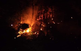 Huy động hơn 700 người trắng đêm khống chế cháy rừng ở Hà Tĩnh