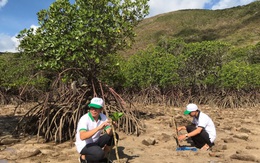 Bà Rịa - Vũng Tàu: Chuỗi hoạt động hưởng ứng Ngày Môi trường thế giới