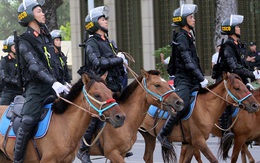 Có thể sử dụng thêm giống ngựa Bắc Hà để xây dựng Đoàn Cảnh sát cơ động kỵ binh